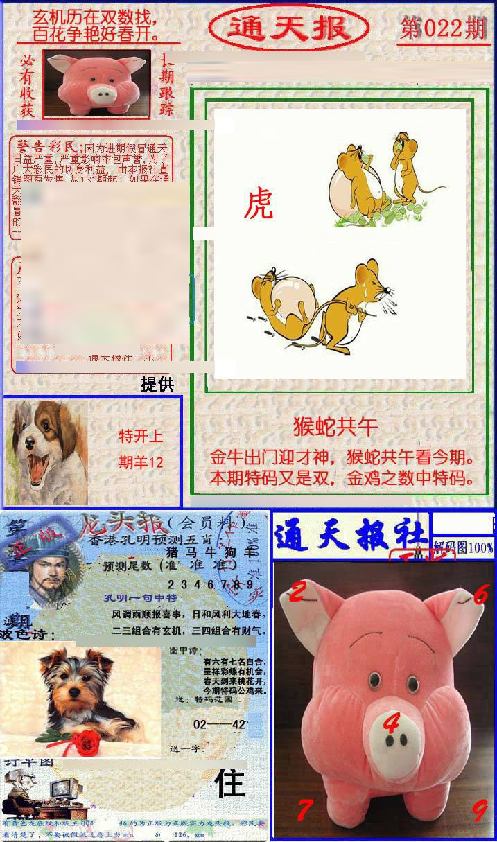 022期实力通天报[图]